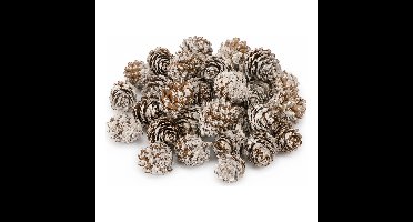 Dijk Natural Collections Kleine dennenappeltjes - 90 gram bruin 1,5-2 cm