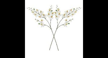 Mica Decorations Kunstbloem Orchidee tak - 2x - wit - 75 cm