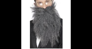 Verkleed baard en snor - grijs - lang model - professor