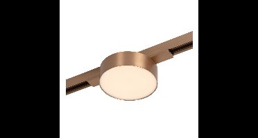 Premium by Lucide 1-fase railspotLinial Fixxt champagne - 55904/08/05