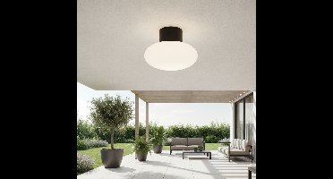 Lyora PlafondlampAli antraciet met ovaal wit glas - 108901
