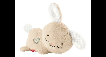 FISHER-PRICE Slaap-dier Slaap-Koala / Soothe & Settle Bunny (Sluimer konijn)