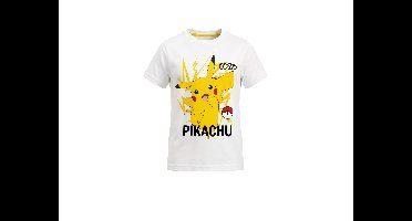 T-Shirt Minecraft / Pokémon (Wit, 146/152)