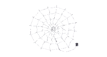 Halloween LED-spinnenweb, 120 cm (Lila)