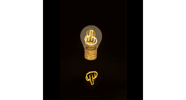 Middelvinger Gloeilamp