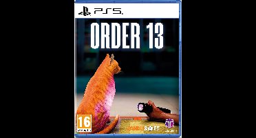 Order 13