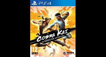 Cobra Kai the Karate Kid Saga Continues