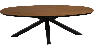 Lesli Living dining tuintafel arezzo 240x110x74cm antraciet