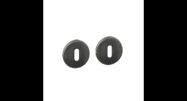 Intersteel Sleutelrozetten verdekt ø52x6mm PVD Antraciet