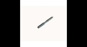 Gebr. Bodegraven stokeind met 6-kant sleutelvlak - torx M10 - 100xØ8,90mm - verzinkt