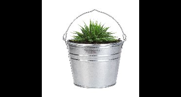 Plantenpot/bloempot emmer voor buiten - zink - zilver - D25 x H19 cm