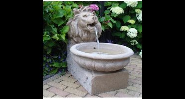 Basel waterornament